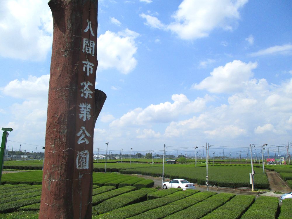 入間茶業公園の画像 - 3枚目