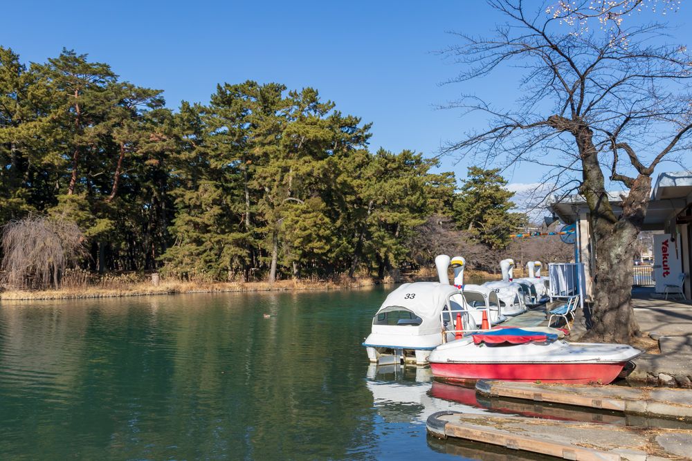 群馬県立敷島公園の画像 - 3枚目