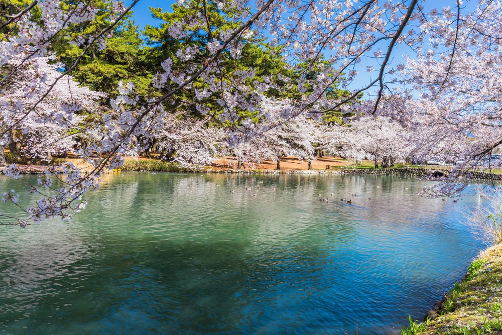 群馬県立敷島公園】の周辺スポット・アクセス・口コミ - Prism Japan