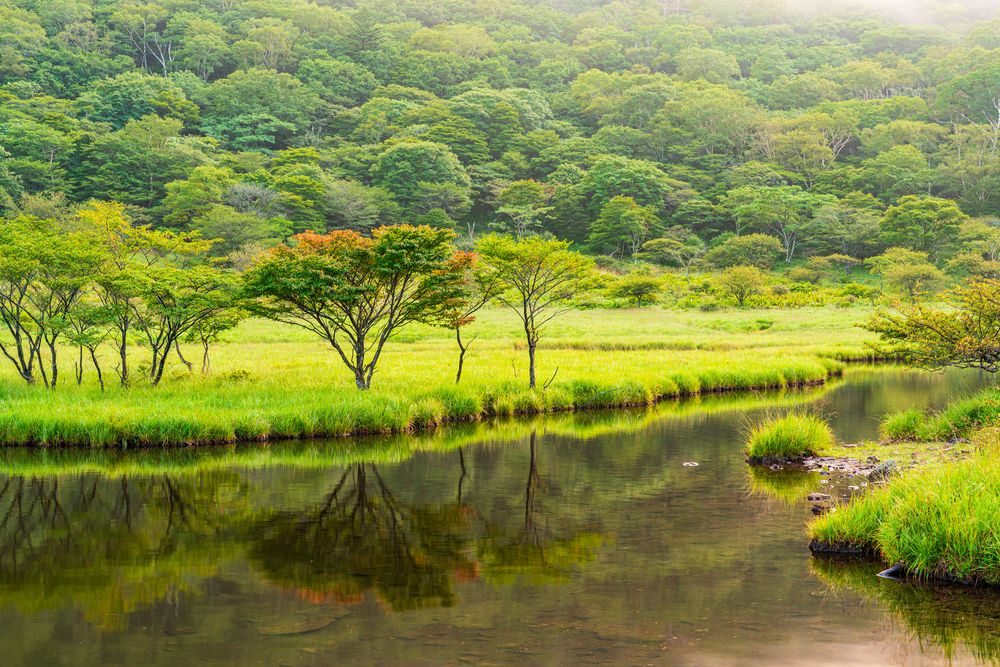 赤城山の画像 - 5枚目