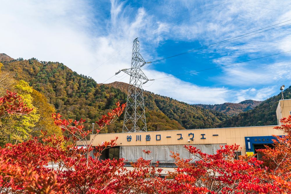 谷川岳ヨッホ by星野リゾートの画像 - 2枚目