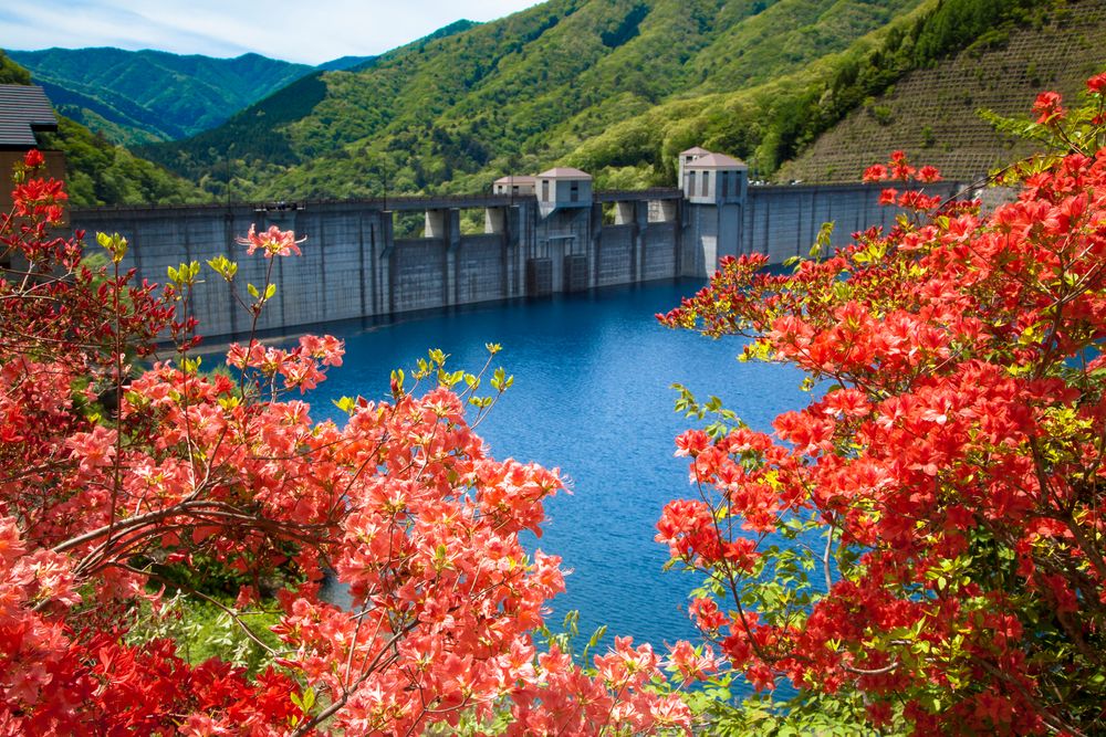 奥四万湖の画像 - 2枚目