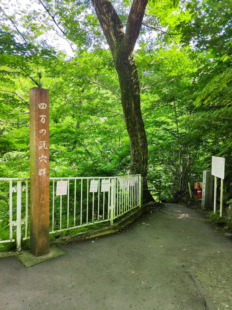 四万の甌穴群の画像 - 6枚目
