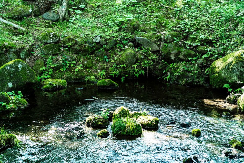 三分一湧水の画像 - 2枚目