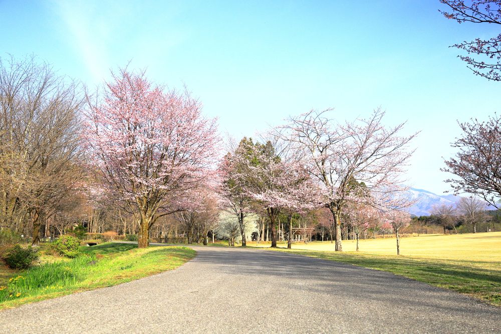 日光だいや川公園の画像 - 4枚目