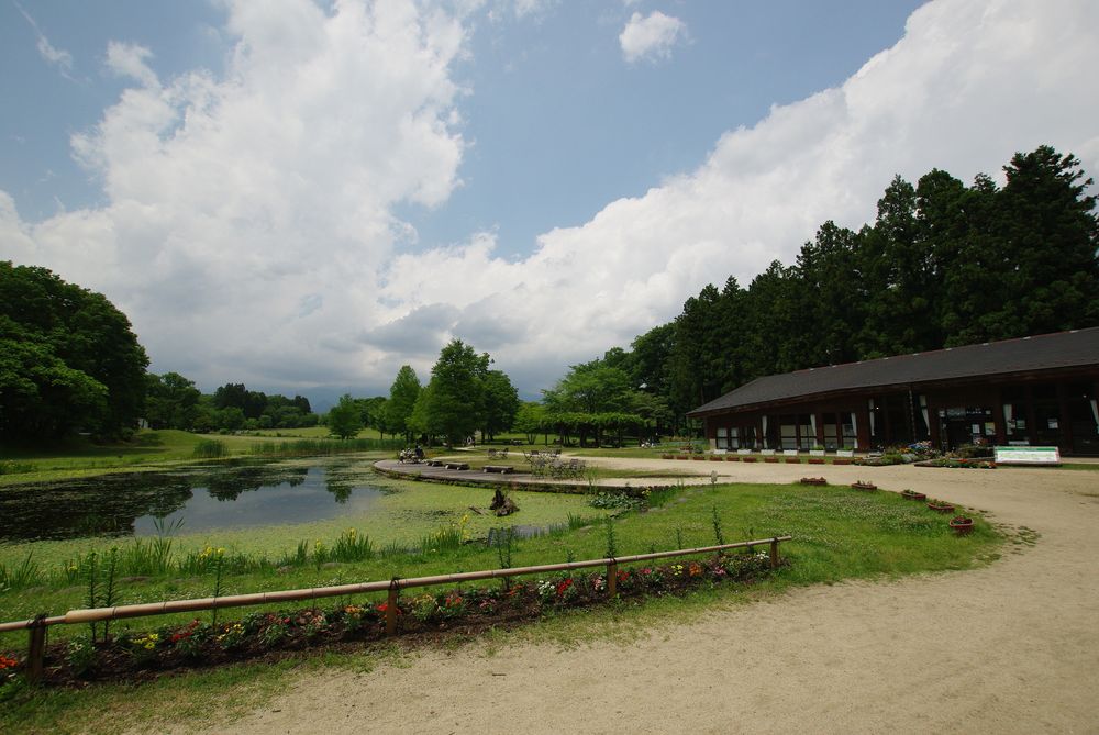 日光だいや川公園の画像 - 6枚目