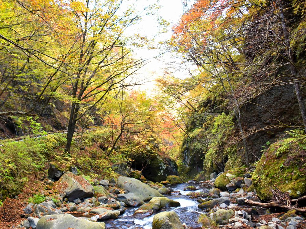 裏見ノ滝の画像 - 5枚目