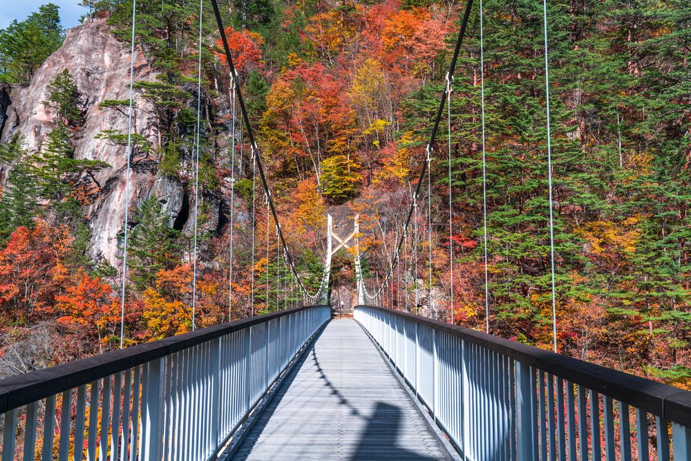 瀬戸合峡の画像 - 2枚目