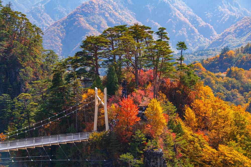 瀬戸合峡の画像 - 3枚目