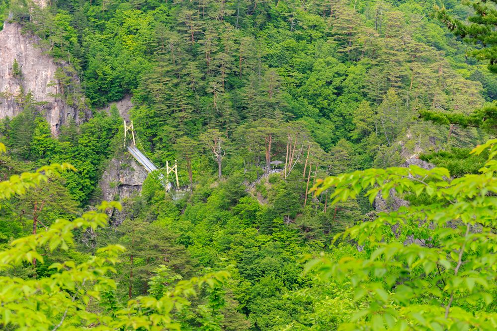 瀬戸合峡の画像 - 5枚目