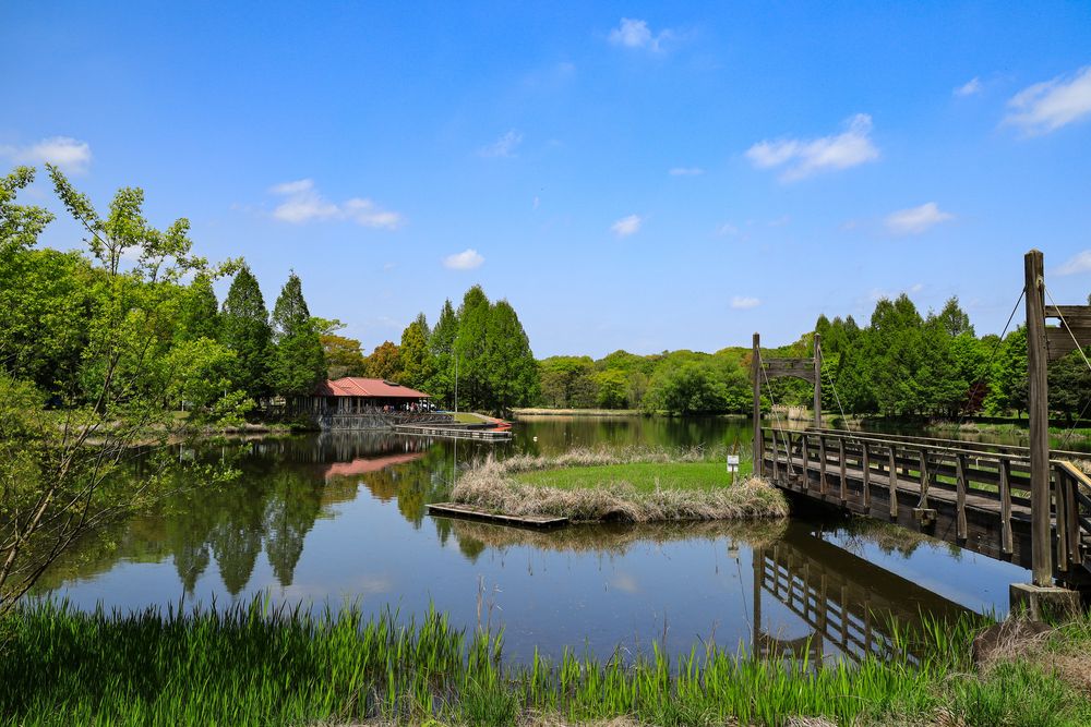 壬生町総合公園の画像 - 5枚目