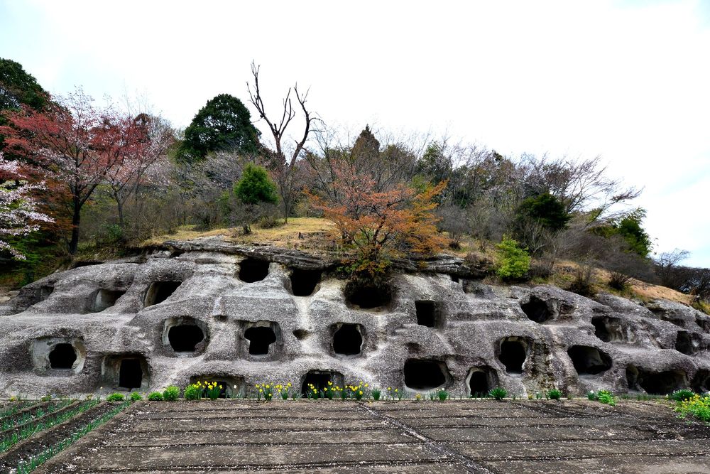 長岡百穴古墳の画像 - 3枚目