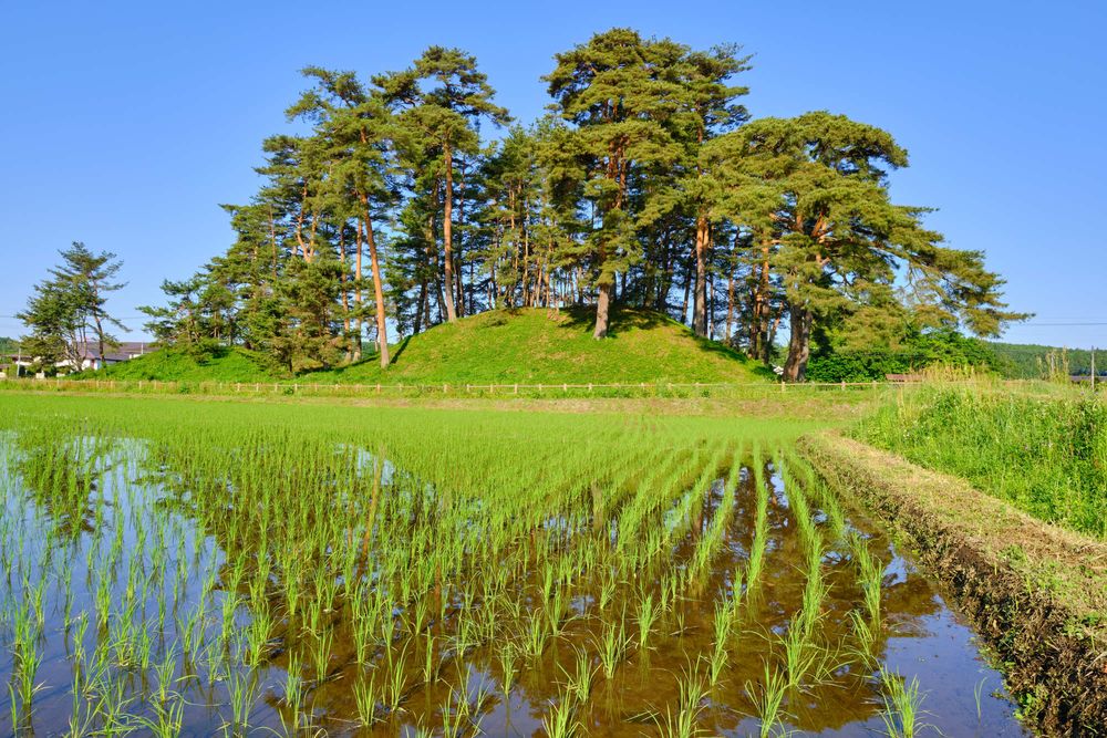 侍塚古墳群の画像 - 4枚目