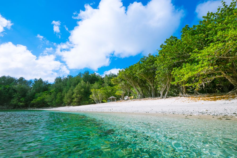 コペペ海岸の画像 - 2枚目