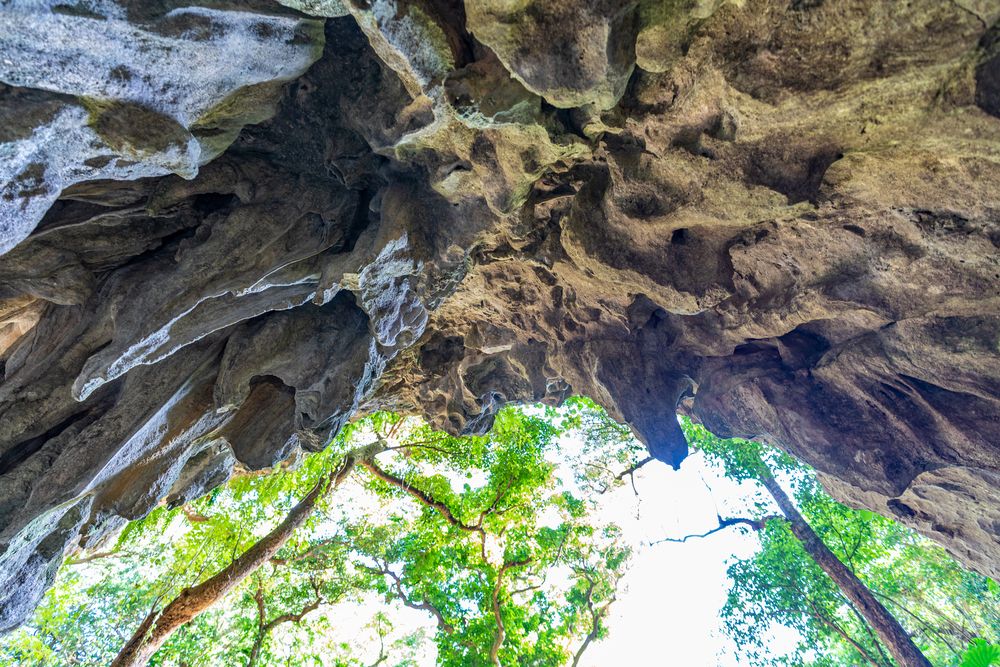 ガンガラーの谷】の周辺スポット・アクセス・口コミ - Prism Japan