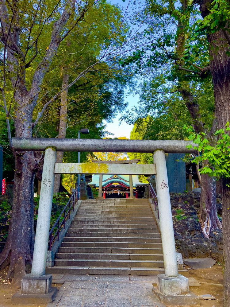中野沼袋氷川神社の画像 - 3枚目