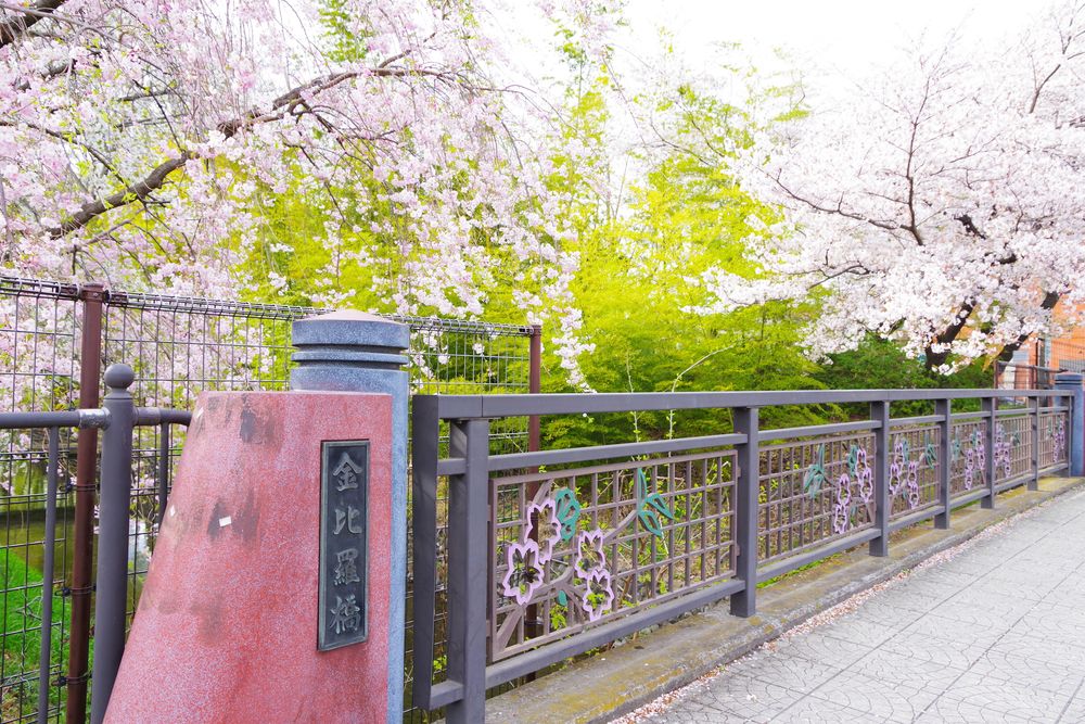 玉川上水緑道の画像 - 3枚目