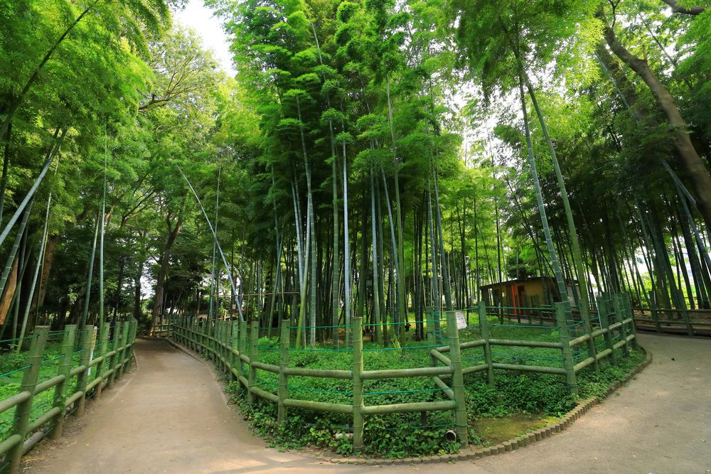 目黒区立すずめのお宿緑地公園