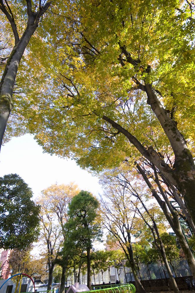 教育の森公園の画像 - 3枚目