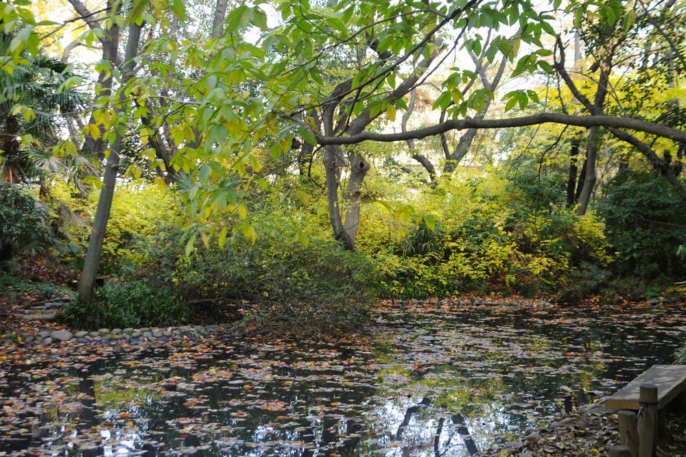 教育の森公園の画像 - 4枚目