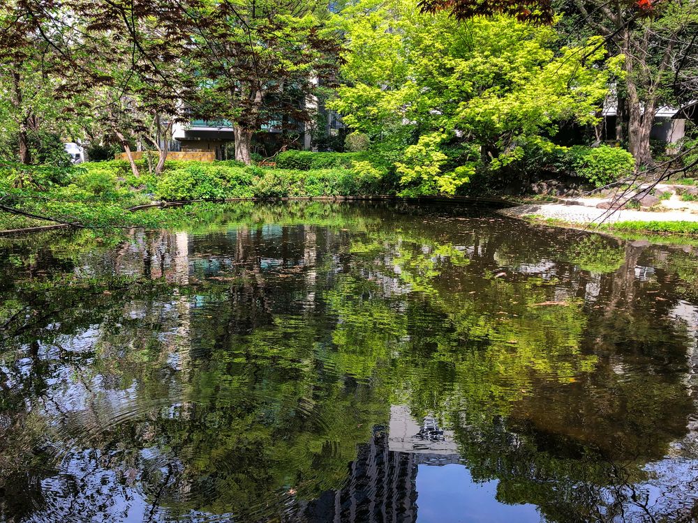 千代田区立清水谷公園の画像 - 4枚目