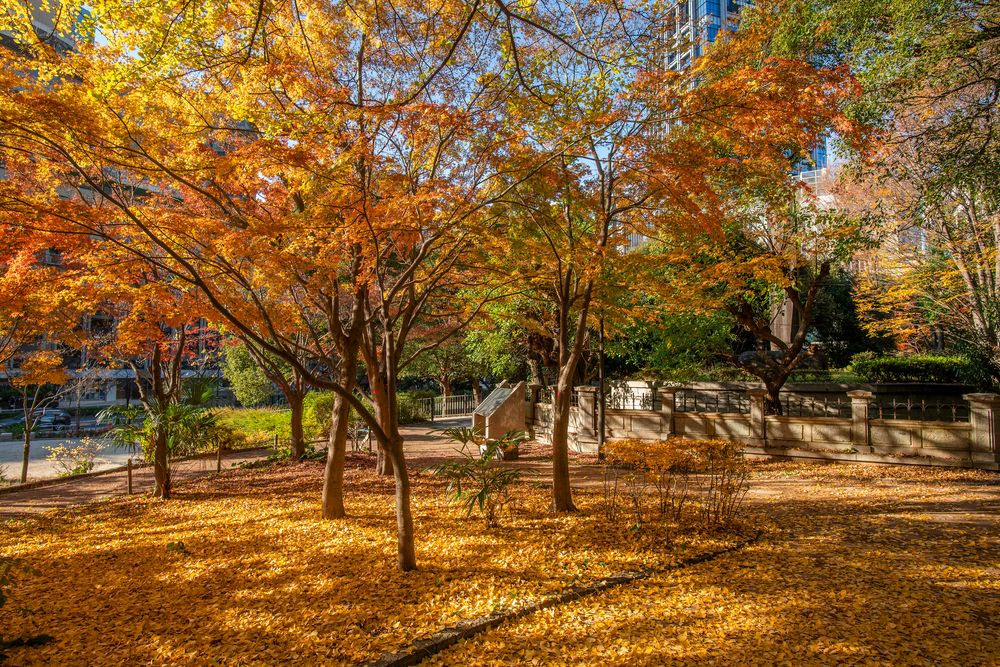千代田区立清水谷公園の画像 - 5枚目