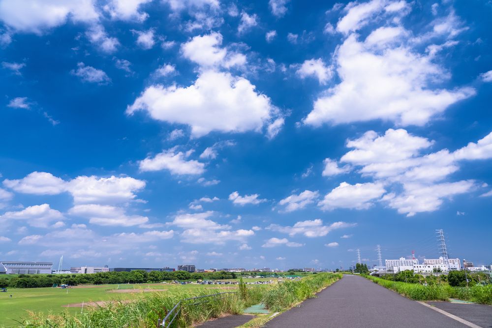 荒川河川敷の画像 - 3枚目
