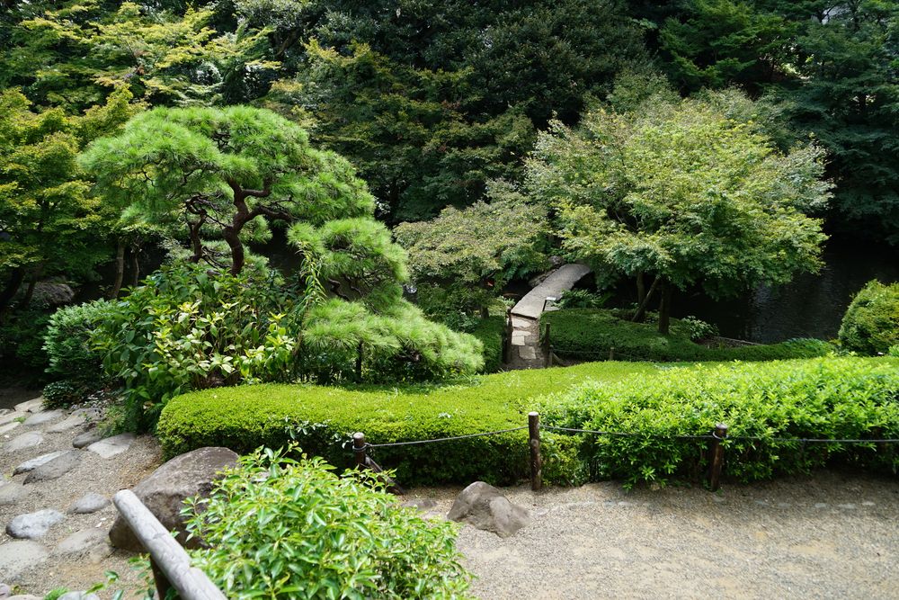 品川区立池田山公園の画像 - 2枚目