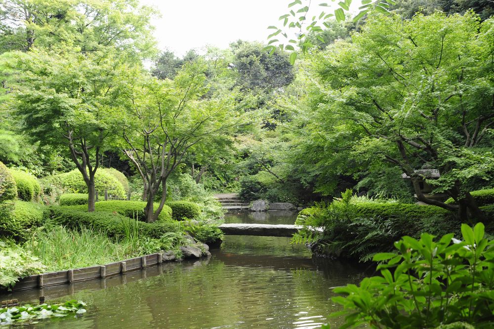 品川区立池田山公園の画像 - 3枚目