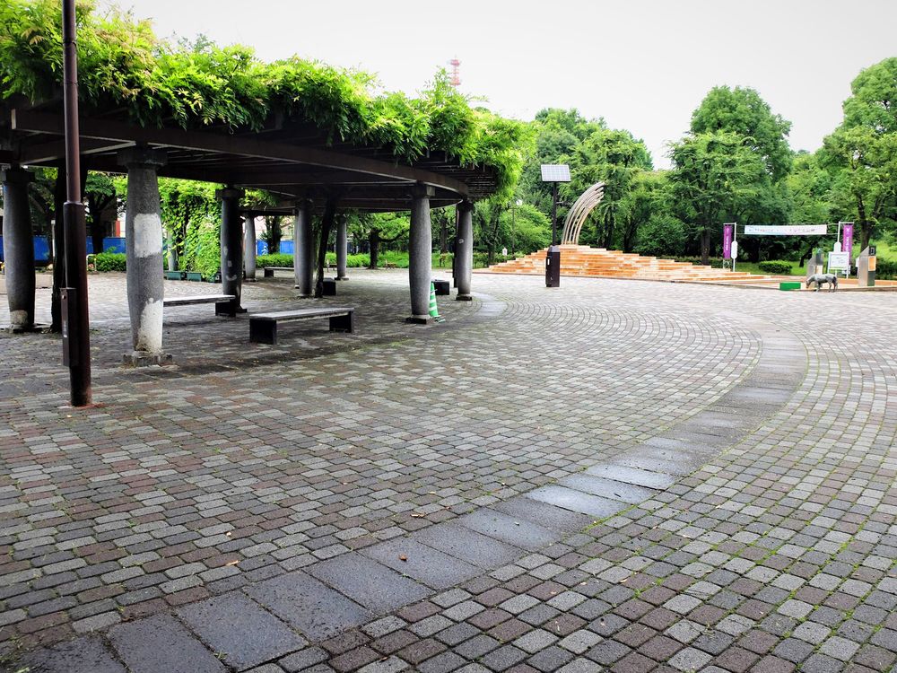 大泉中央公園の画像 - 4枚目