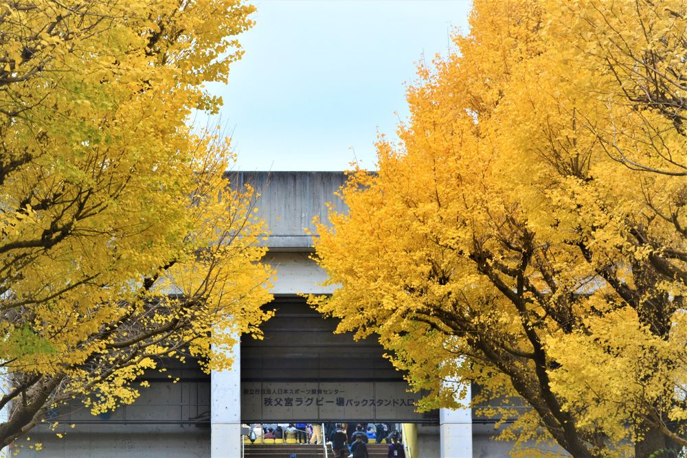 秩父宮ラグビー場の画像 - 3枚目