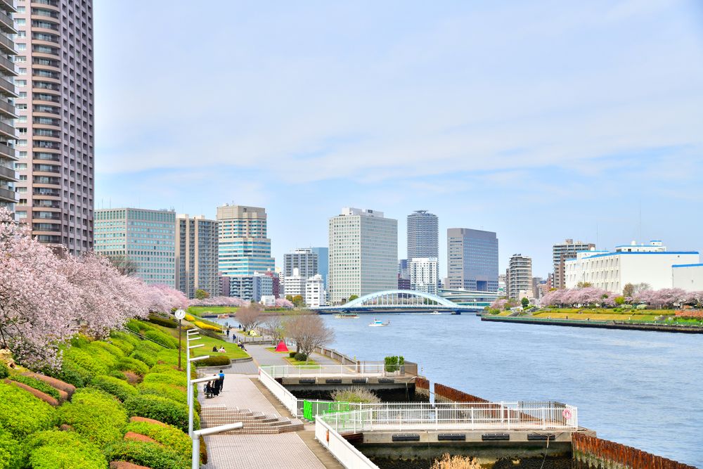 中央区立石川島公園の画像 - 3枚目