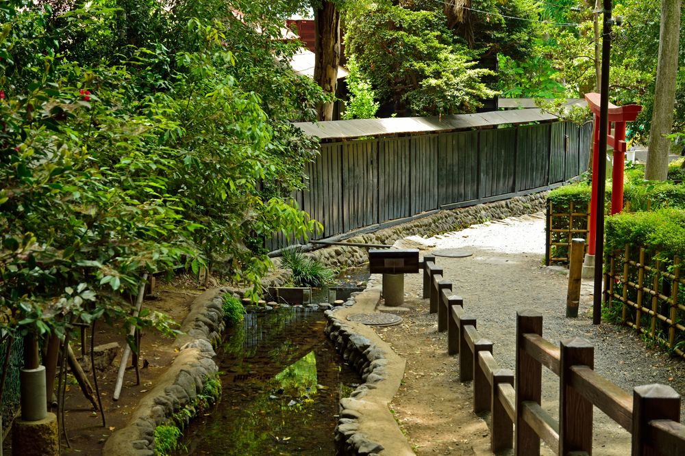 お鷹の道・真姿の池湧水群の画像 - 2枚目