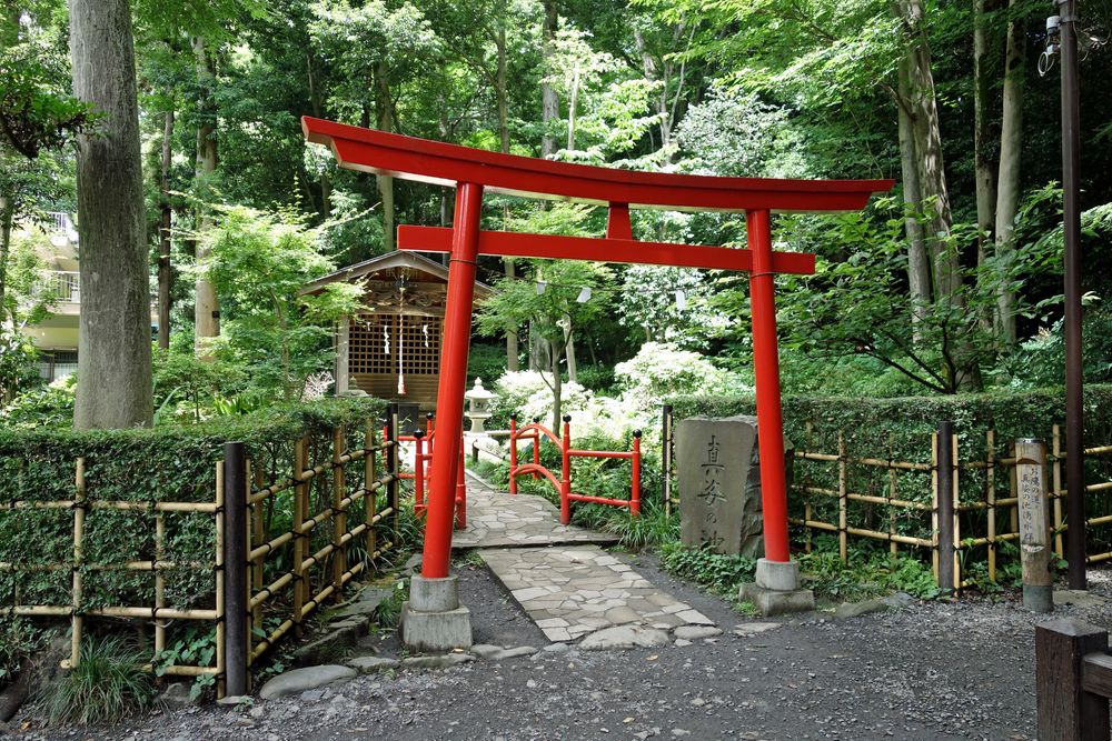 お鷹の道・真姿の池湧水群の画像 - 3枚目