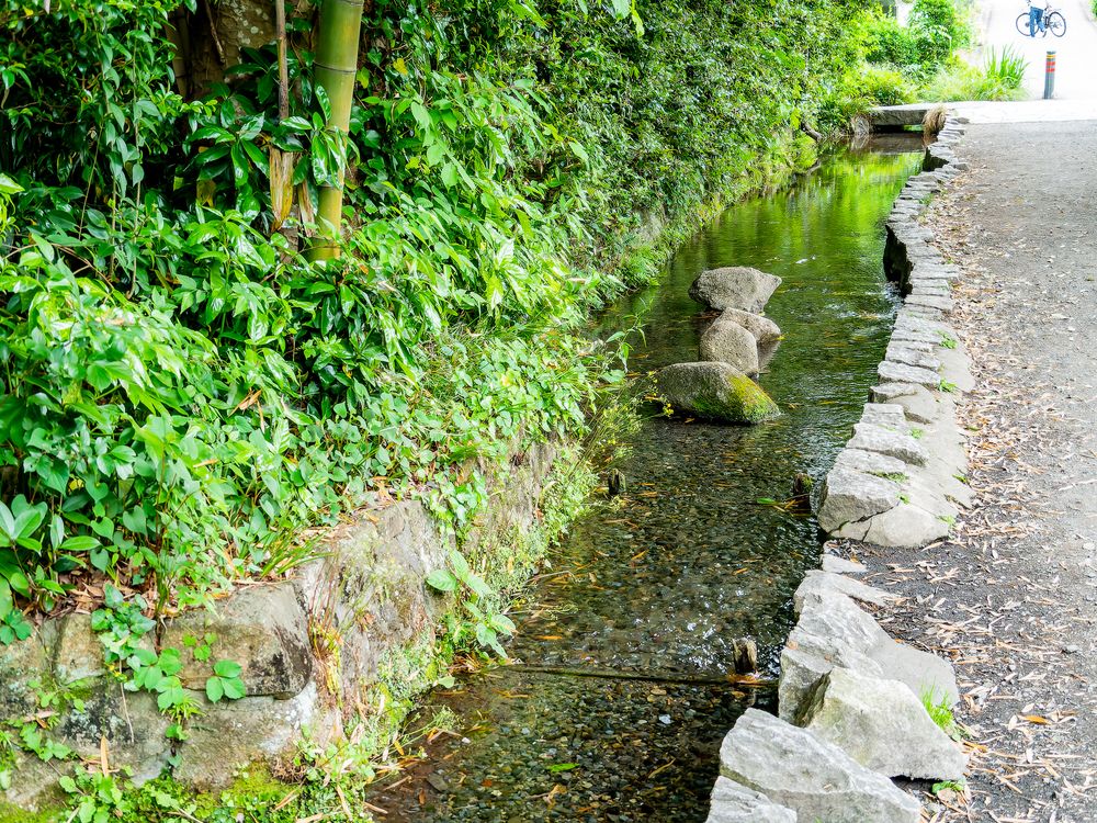 お鷹の道・真姿の池湧水群の画像 - 5枚目