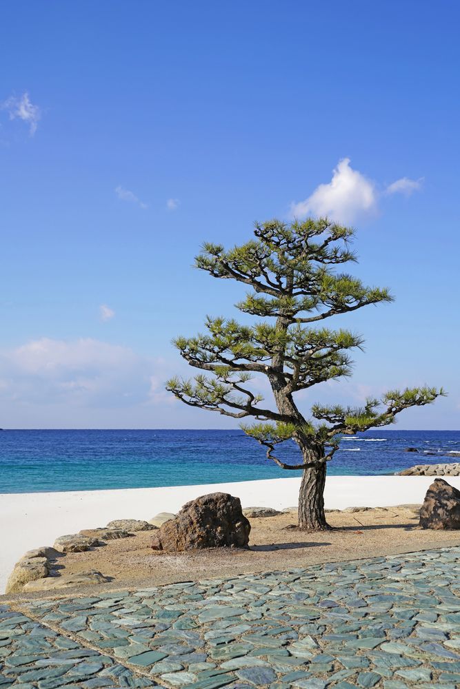 白良浜の画像 - 5枚目