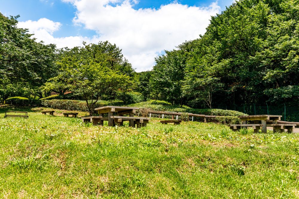 野山北・六道山公園の画像 - 5枚目