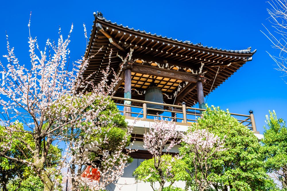 乗蓮寺の画像 - 4枚目