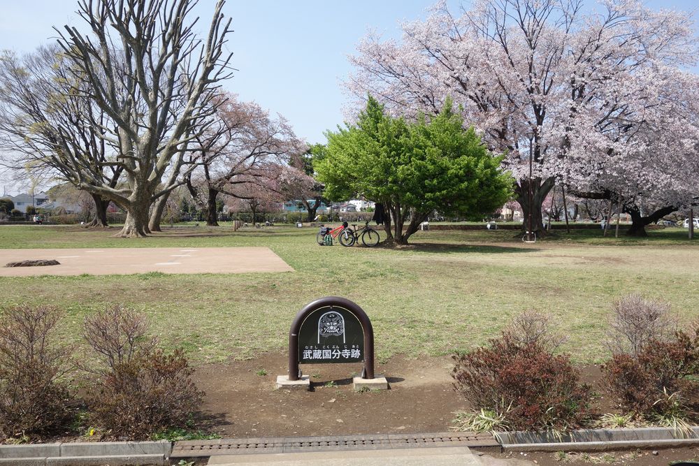 武蔵国分寺跡の画像 - 2枚目