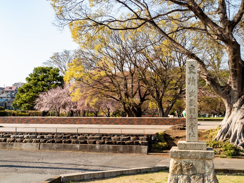 武蔵国分寺跡
