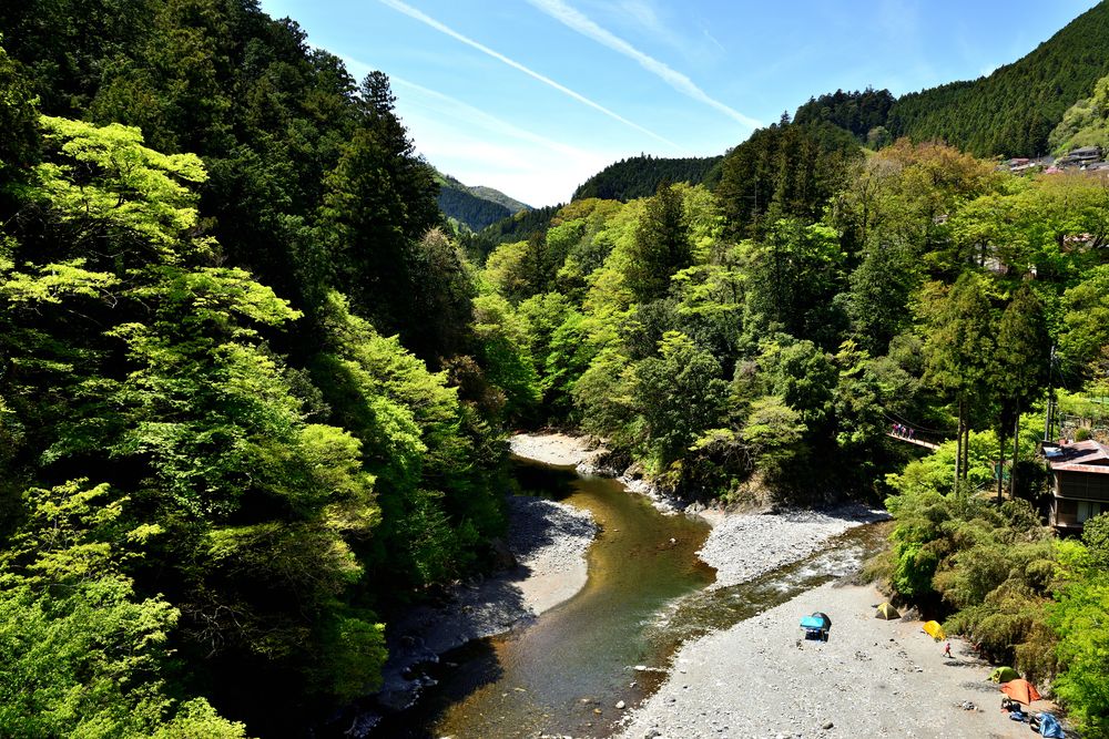 氷川キャンプ場の画像 - 3枚目