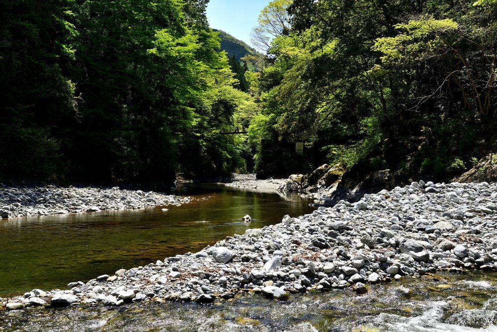 氷川キャンプ場の画像 - 4枚目