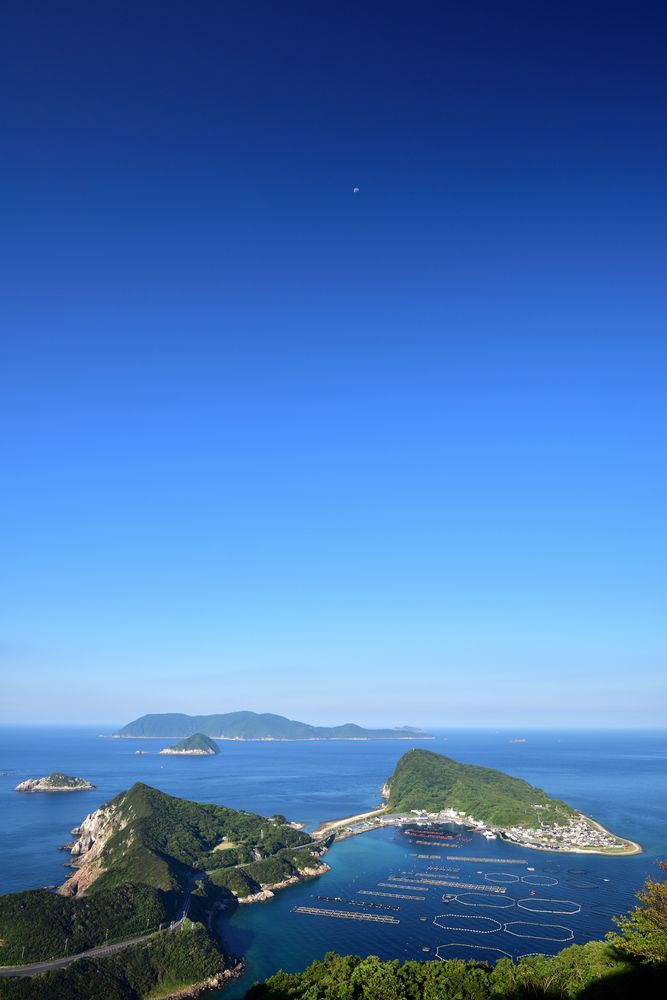 柏島の画像 - 7枚目