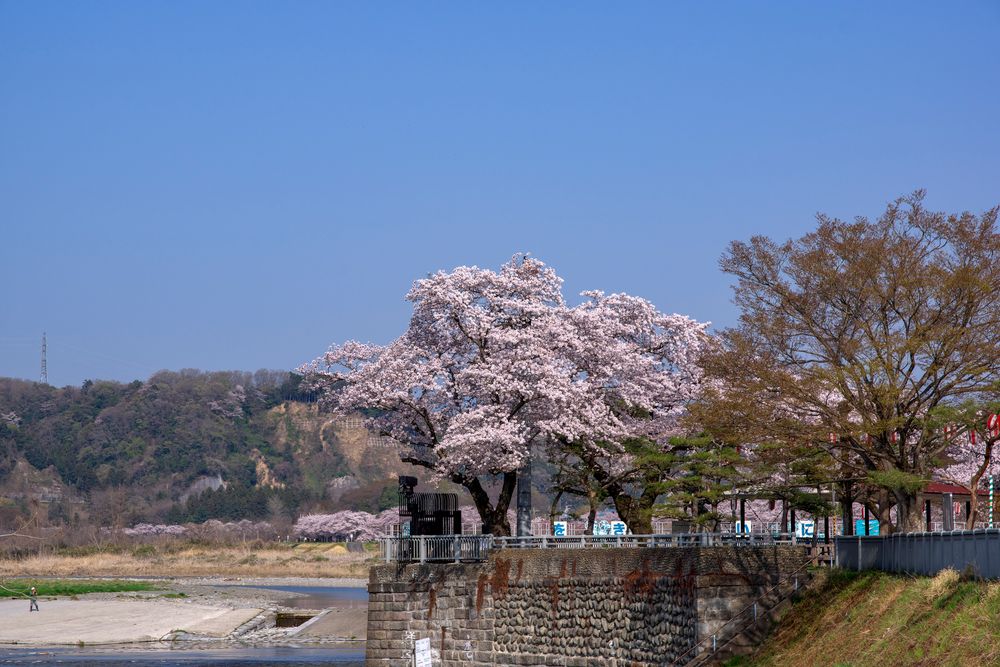 羽村取水堰（投渡堰）の画像 - 5枚目