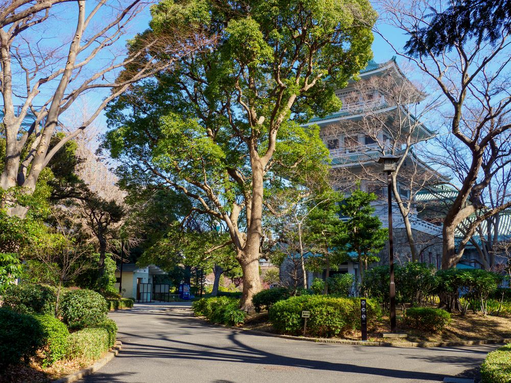 東京都復興記念館の画像 - 2枚目