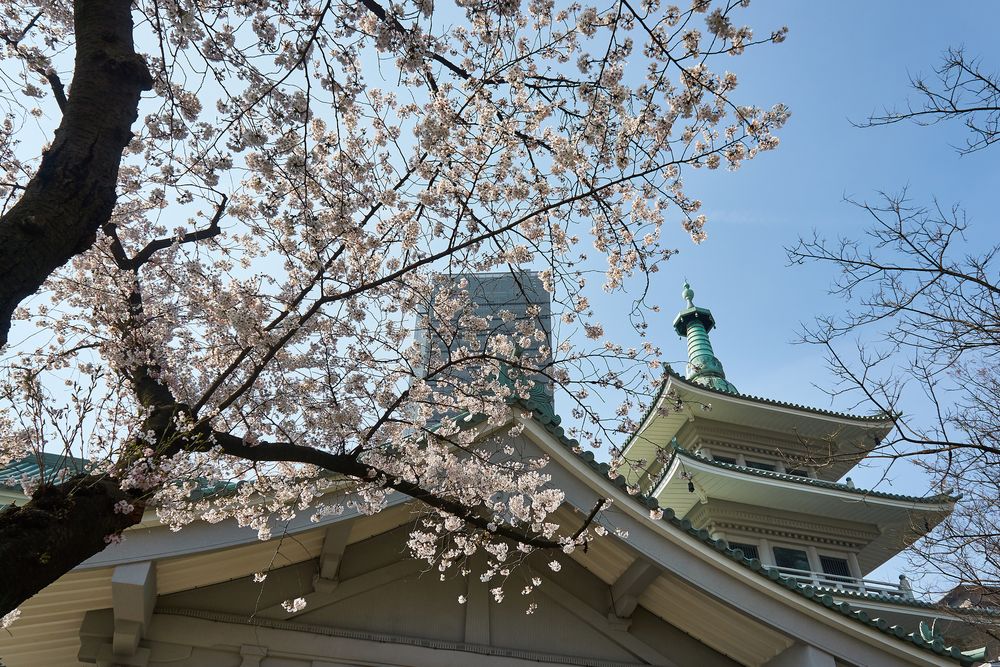 東京都復興記念館の画像 - 6枚目