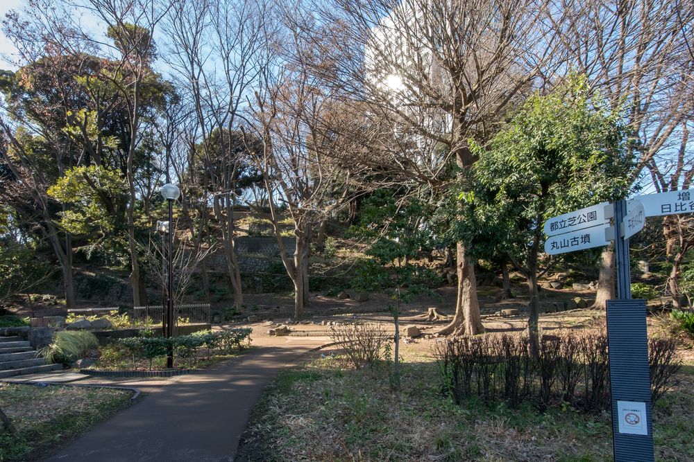 芝丸山古墳の画像 - 2枚目