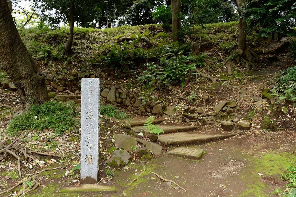 芝丸山古墳の画像 - 3枚目