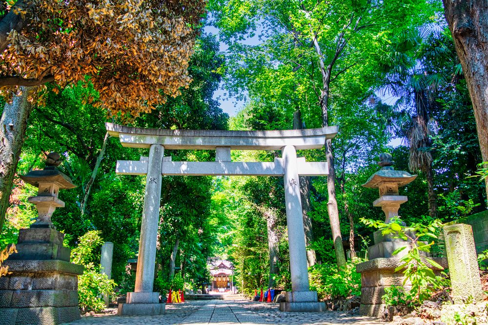 代々木八幡遺跡の画像 - 4枚目