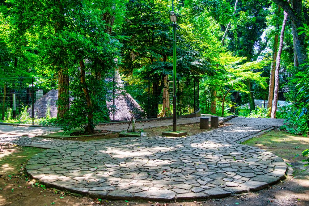 代々木八幡遺跡の画像 - 5枚目